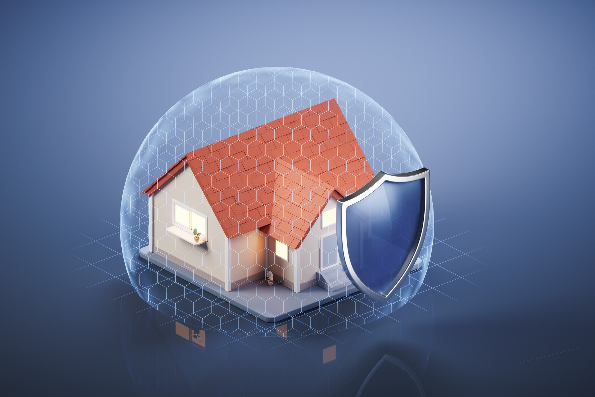 House with shield