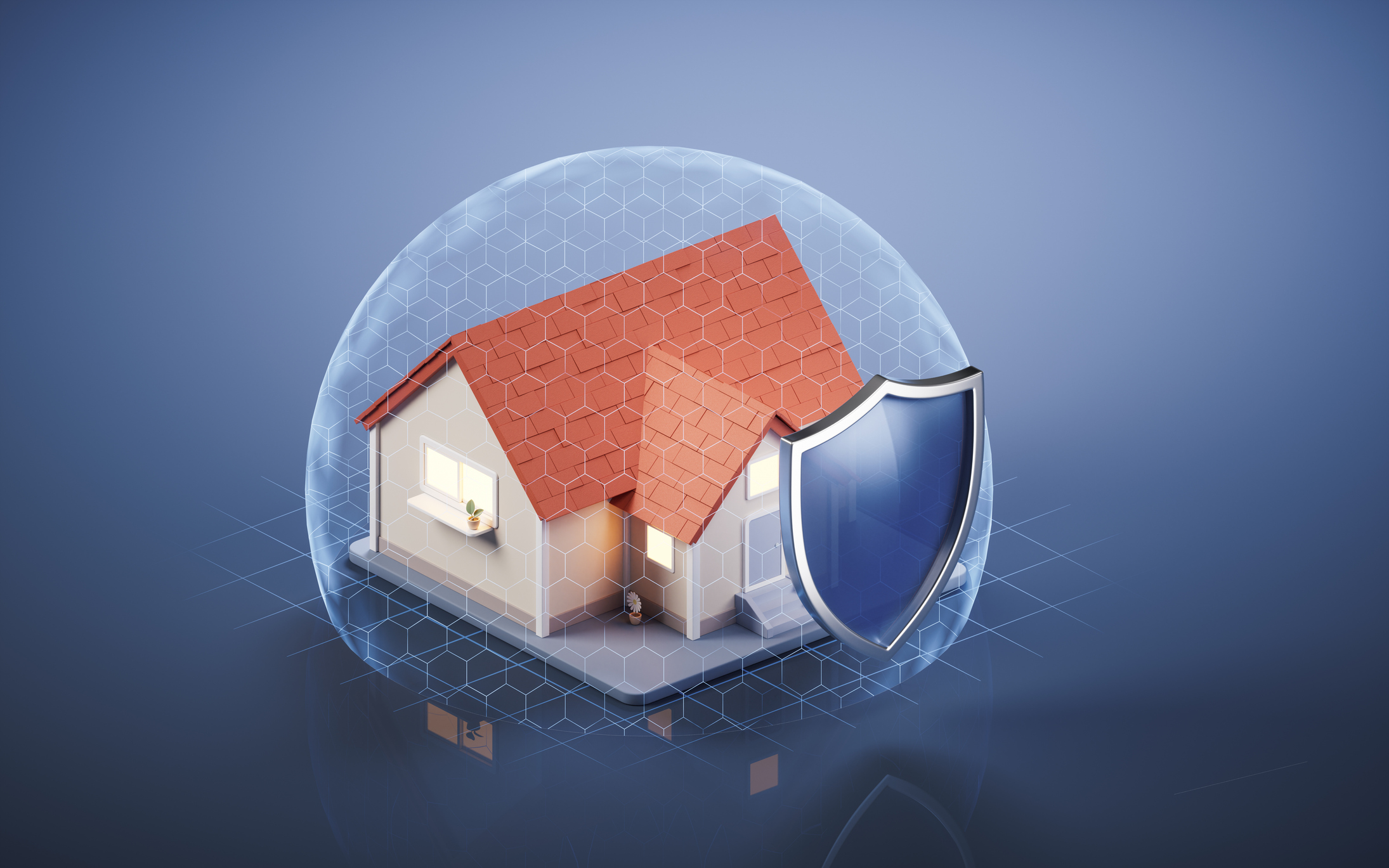 House with shield